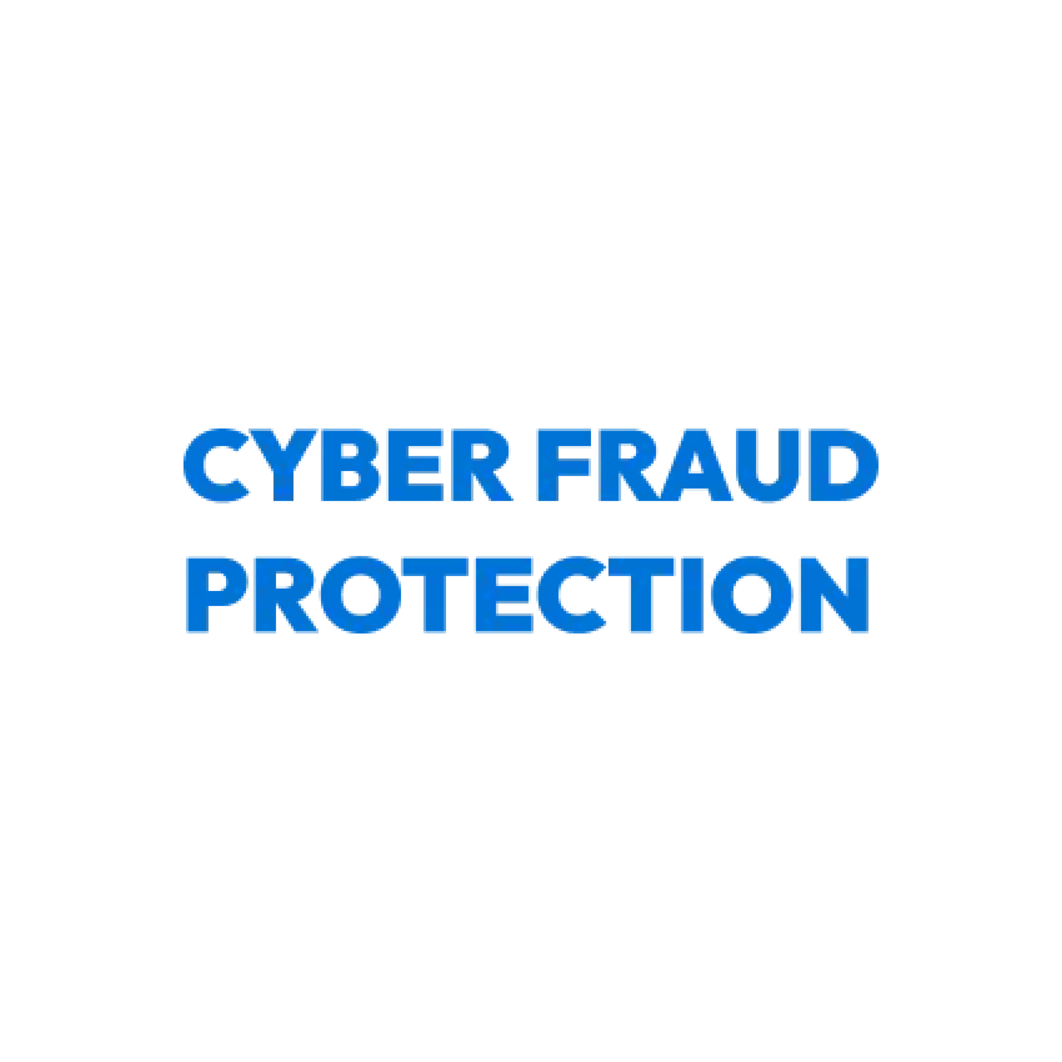 Cyber Fraud Protection - Website